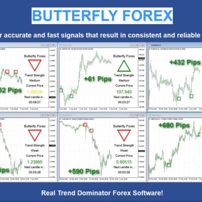 Butterfly Forex + Holo Trade Assistant EA Unlimited MT4
