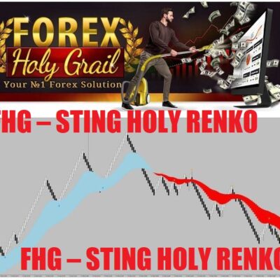 FHG – STING HOLY RENKO Unlimited